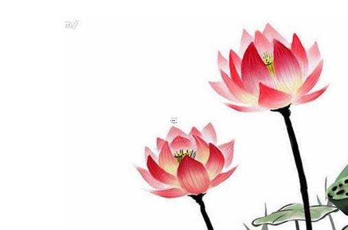 79年羊今年每月運(yùn)勢 2023年屬羊要出大事 79年羊今年每月運(yùn)勢 2023年屬羊要出大事