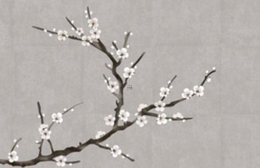 算命說我爛桃花多什么意思 算命先生說我爛桃花多