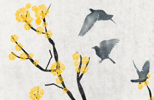 兔子的壽命是多少長 兔子的壽命有多長時(shí)間