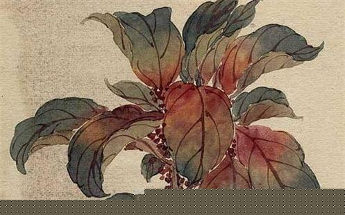 屬龍的跟馬的相配嗎,屬龍跟屬馬的相配嗎 屬龍的跟馬的相配嗎,屬龍跟屬馬的相配嗎