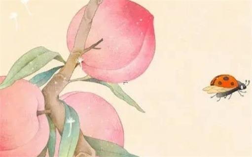 屬猴人最佳婚配,屬龍人最佳婚配 屬猴人最佳婚配,屬龍人最佳婚配