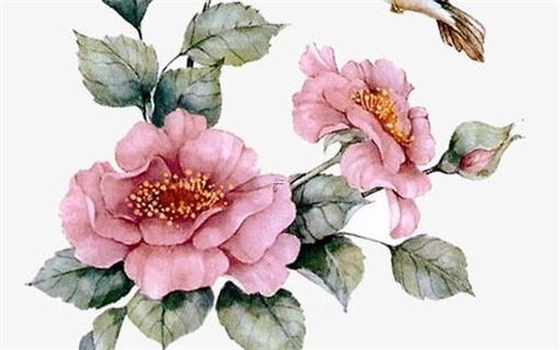 易經算命準嗎 易經算的準嗎