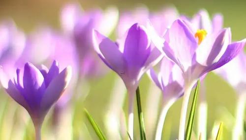 夢(mèng)見窯蹋 夢(mèng)見窯塌了自己跑出來了 夢(mèng)見窯蹋 夢(mèng)見窯塌了自己跑出來了