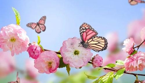 女人夢見紅紙黑字對聯 女人夢見紅紙上寫著黑字