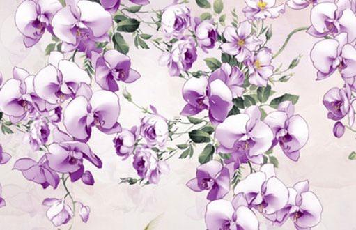 1950年屬虎的今年多大歲數 1950年屬虎多大年齡 1950年屬虎的今年多大歲數 1950年屬虎多大年齡