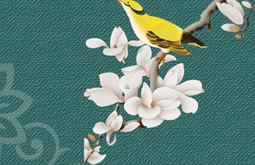 屬鼠和屬虎的婚配指數 屬虎的和屬鼠的婚配怎么樣 屬鼠和屬虎的婚配指數 屬虎的和屬鼠的婚配怎么樣