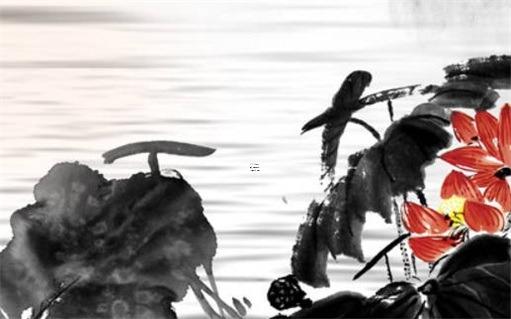 屬兔在鼠年桃花運好嗎，屬兔和屬鼠的今年桃花運