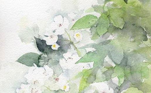 歷史上姓卓的名人有哪些 卓姓最出名的人 歷史上姓卓的名人有哪些 卓姓最出名的人