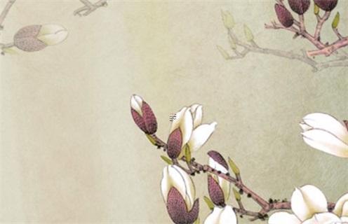 屬豬的和什么屬相姻緣比較好 屬豬的和什么屬相婚姻最好 屬豬的和什么屬相姻緣比較好 屬豬的和什么屬相婚姻最好