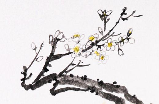 八字四柱能看一生嗎 四柱八字到底準(zhǔn)不準(zhǔn)