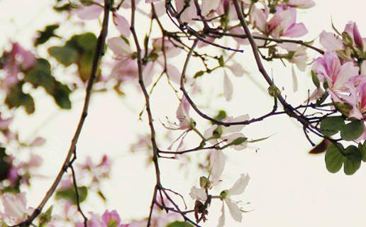 怎樣批四柱八字用神 四柱用神怎么確定 怎樣批四柱八字用神 四柱用神怎么確定