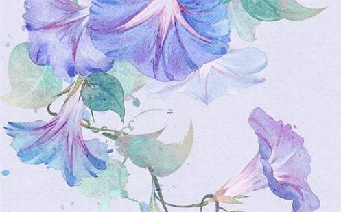 女孩姓穆名 穆姓女孩取名 女孩姓穆名 穆姓女孩取名