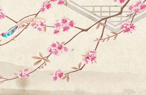 女人相研究第三章 女人相痣圖解大全 女人相研究第三章 女人相痣圖解大全