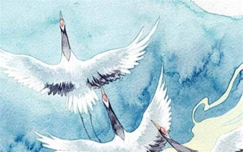 我國式相親免費觀看全集 我國式相親免費觀看全集孟非 我國式相親免費觀看全集 我國式相親免費觀看全集孟非