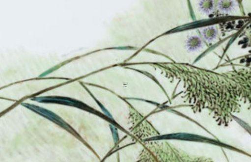 04年女屬猴最佳婚配 04年屬猴女最佳配偶