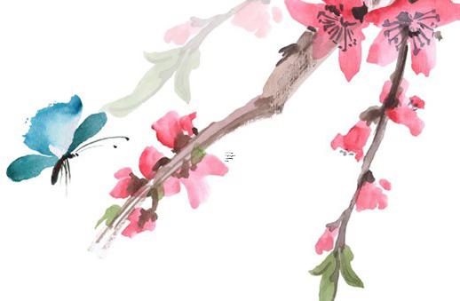 結婚40周年是什么婚應該如何慶祝 結婚四十周年是啥婚