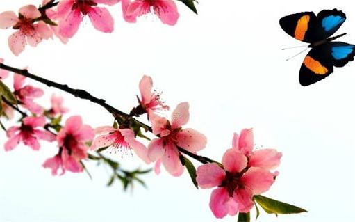 1990年屬馬31歲運氣 1990年屬馬31歲運氣2023