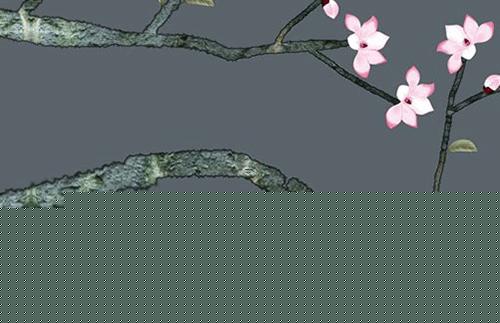 屬龍女一輩子最佳婚配,屬龍女生最佳配偶 屬龍女一輩子最佳婚配,屬龍女生最佳配偶