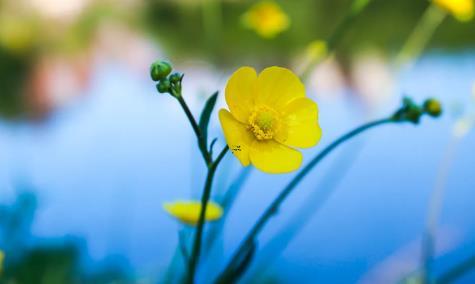 周公解夢(mèng)夢(mèng)見吐飯 夢(mèng)見吐出飯