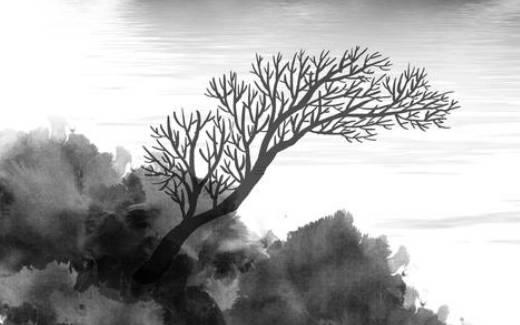 屬牛人和屬猴人相配嗎 屬牛的人和屬猴的人配嗎