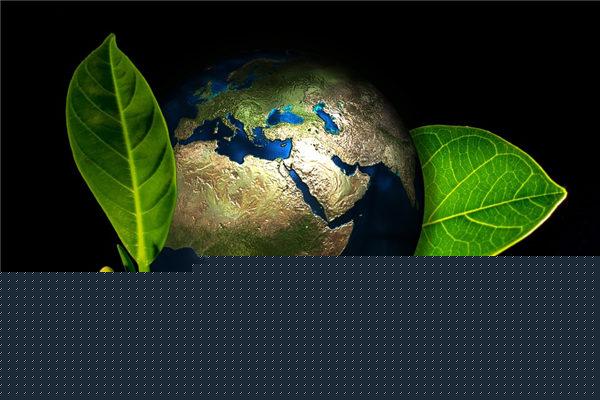 夢見幾個賊要拿刀砍死我的人 夢見歹徒持刀砍自己 夢見幾個賊要拿刀砍死我的人 夢見歹徒持刀砍自己