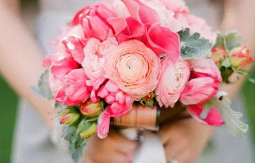 如果吃魚能補腦,這些星座就得吃一條鯨魚 如果吃魚能補腦,這些星座就得吃一條鯨魚