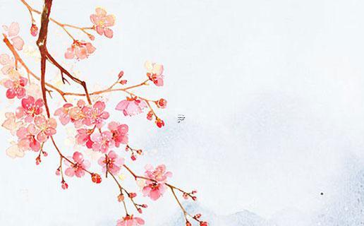 算命說石榴花命是什么意思 算命說的石榴花是什么意思 算命說石榴花命是什么意思 算命說的石榴花是什么意思