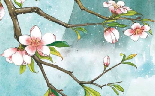 10月8日什么時候有流星雨 十月八號有流星雨嗎 10月8日什么時候有流星雨 十月八號有流星雨嗎