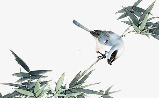 車姓好聽的名字 車姓好聽的名字