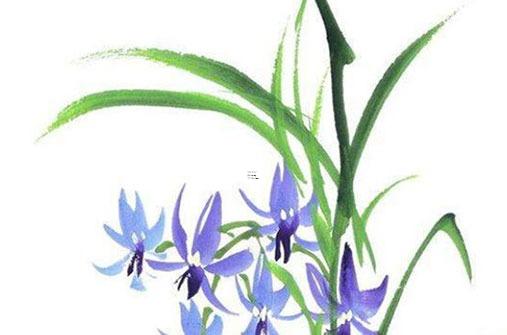 2023年屬馬女感情運勢 2023年屬馬女財運 2023年屬馬女感情運勢 2023年屬馬女財運