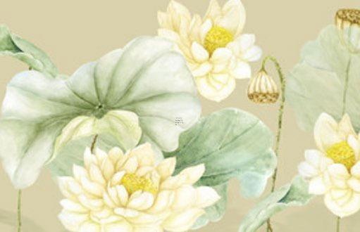 1978年屬馬女命苦 78年屬馬45歲2023劫難