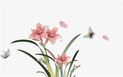 什么八字容易死老婆 什么八字容易被殺