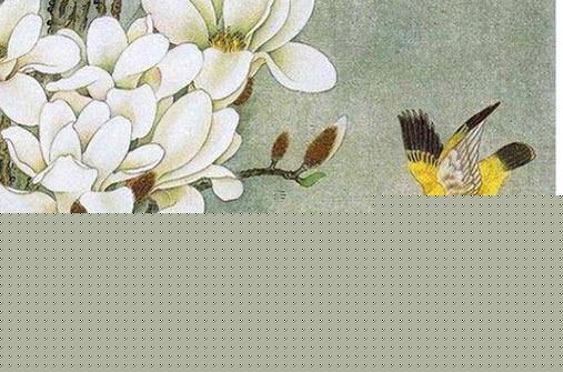 屬兔天秤座2023,屬兔天秤座2023年運勢 屬兔天秤座2023,屬兔天秤座2023年運勢