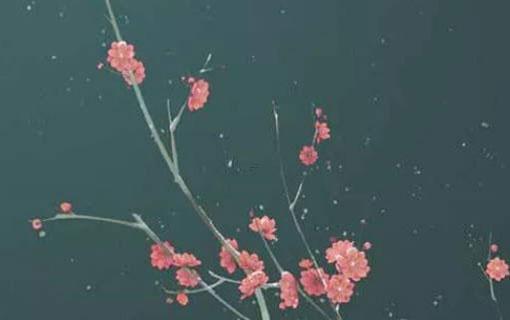 算命生辰八字四柱算命 算命免費(fèi)