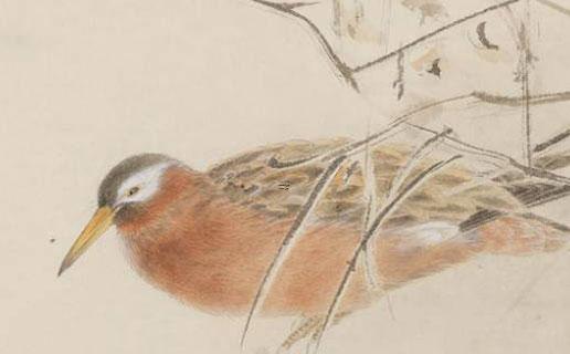 八字在上一定紅是什么意思 八字里紅是什么意思 八字在上一定紅是什么意思 八字里紅是什么意思