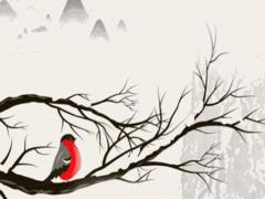 1968屬猴的晚年怎么樣,1968屬猴人最難熬年齡