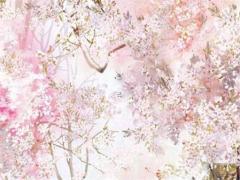 怎么查自己能活多少歲 如何查自己活了多少天