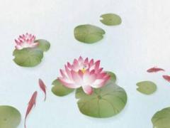 屬鼠兔年2023年運勢詳解,鼠年屬兔2023年屬鼠年運勢