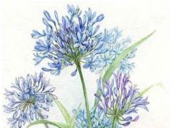 最新好聽的女生個(gè)性游戲網(wǎng)名 女生個(gè)性游戲名字大全