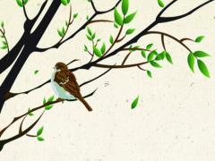 女屬鼠找什么屬相最好 女孩屬鼠找屬什么的男朋友最好