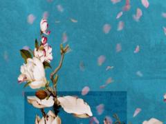 算命先生說枯木逢春是什么意思 算命的說我枯木逢春什么意思