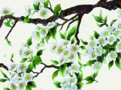 走路八字腳什么原因 走路呈八字