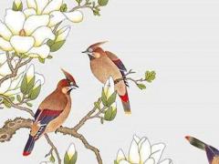 相親后第一次約會(huì)怎么安排 相親后第一次見(jiàn)面聊什么