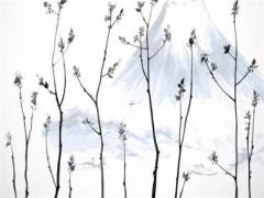 算命說立子什么意思 立子啥意思