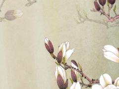 八字看婚姻準(zhǔn)嗎 查八字看婚姻狀況