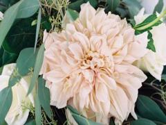 扒!金牛座不為人知的渣行為