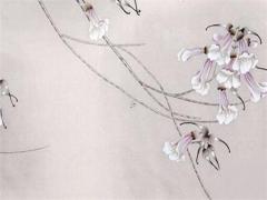 1977屬蛇45歲會離婚嗎,1977年屬蛇人44歲婚姻