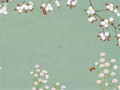 老年人本命年兔禮物