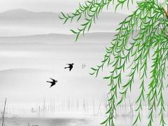 屬馬沖太歲2023化解戴紅繩,2023屬馬犯太歲佩戴什么