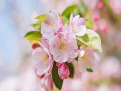 周公解夢夢見被死人追 周公解夢夢見死人追我我就一直跑